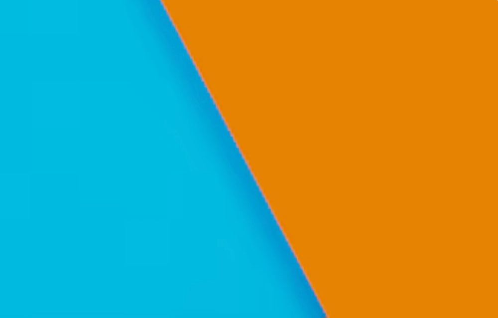 Album bleu/orange:  Hérisson et Renard