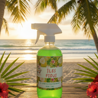 Nettoyant multi-surface MARINET